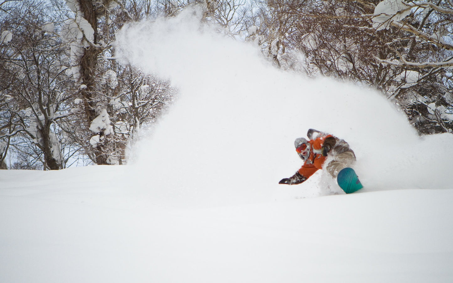日本二世谷粉雪营|滑进滑出·温泉美食·顶级教练带飞 (26.2.15-26.2.21)