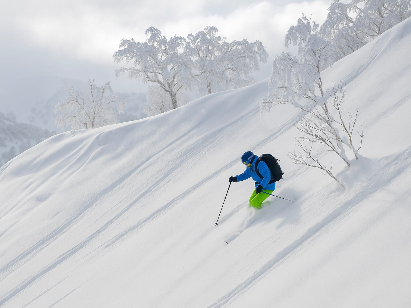 日本二世谷粉雪营（双板）｜滑进滑出·温泉美食·顶级教练带飞 (26.2.22-26.2.28)