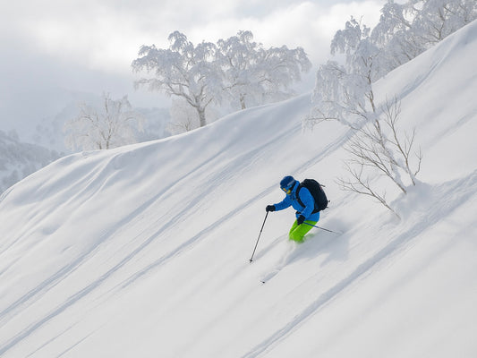 日本二世谷粉雪营（双板）｜滑进滑出·温泉美食·顶级教练带飞 (26.2.22-26.2.28)